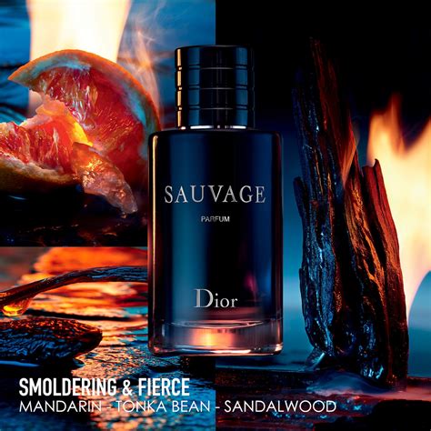 best sauvage dior|how popular is dior sauvage.